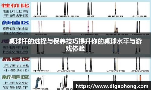 桌球杆的选择与保养技巧提升你的桌球水平与游戏体验